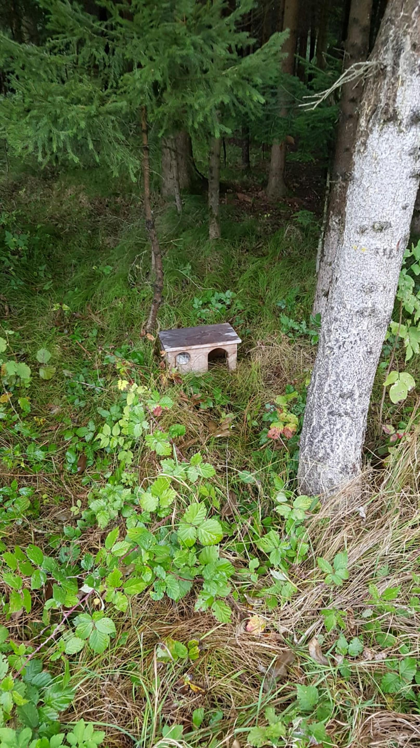 Die beiden Tiere wurden einfach in ihrem Häuschen am Wegesrand ausgesetzt.