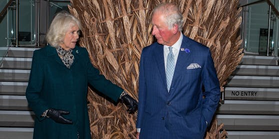 Bei Prinz Charles und Camilla fliegen manchmal die Fetzen.