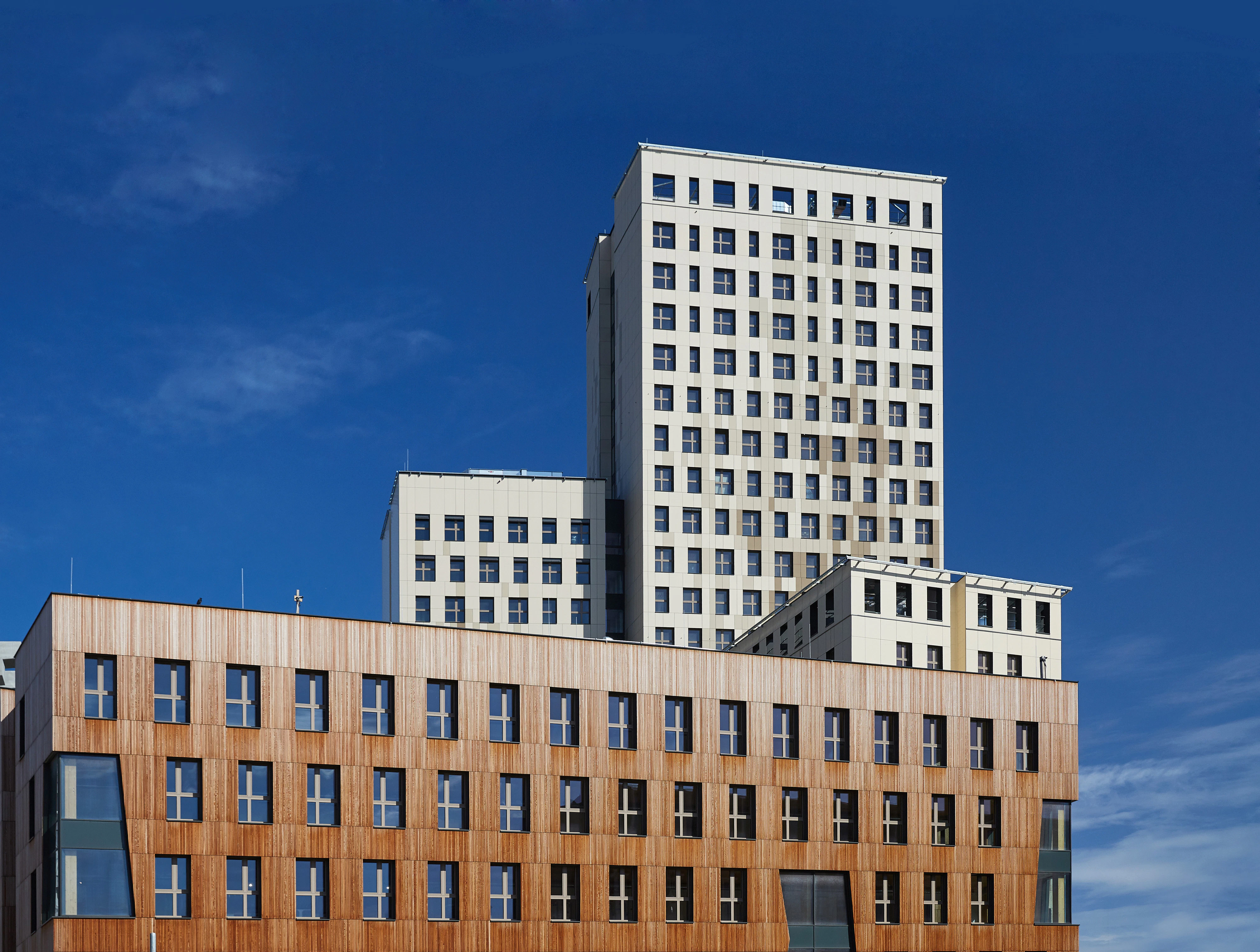 Das Holz-Hochhaus in der Seestadt Aspern.