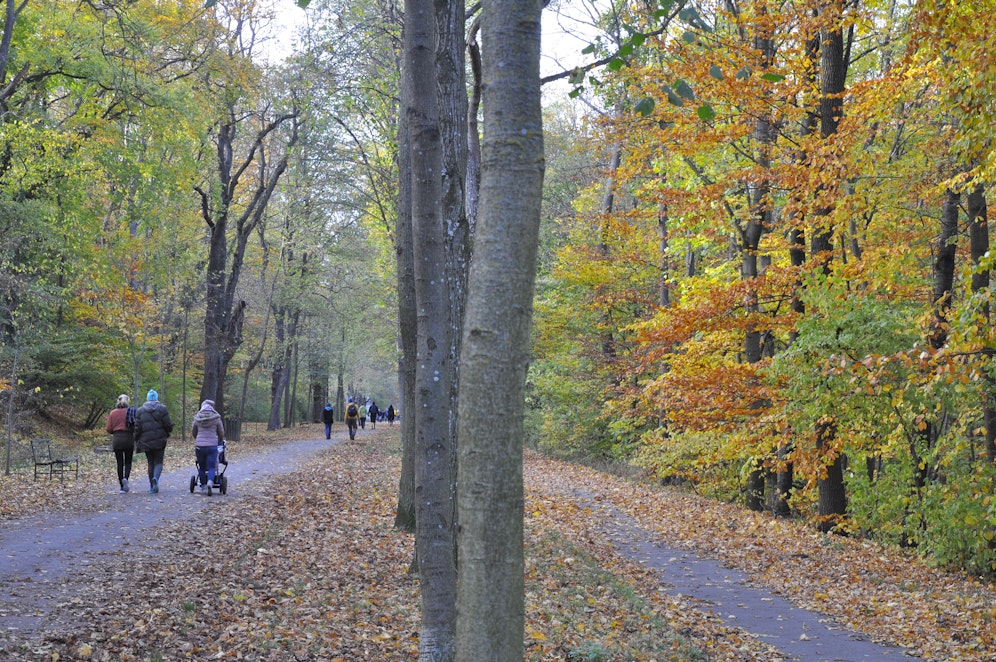 Die Schwarzenbergallee im Erholungsgebiet Schwarzenbergpark in Wien-Hernals.