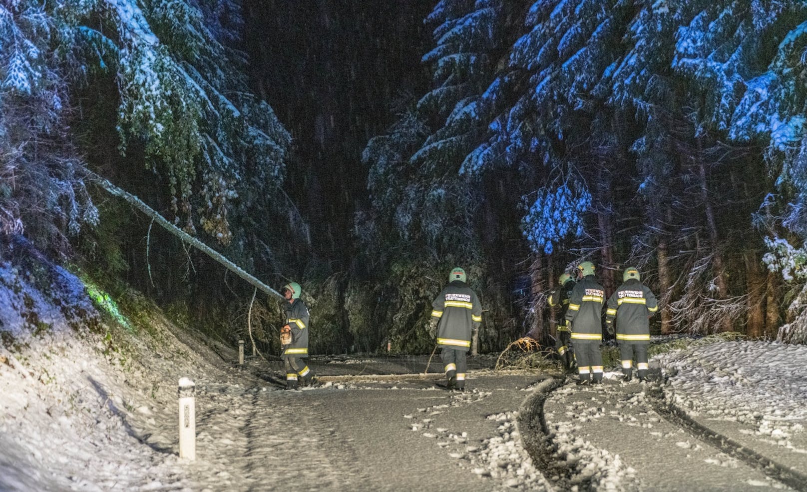 Zahlreiche Bäume knickten aufgrund der Schneelast am Feistritzsattel um und versperrten die Fahrbahn.