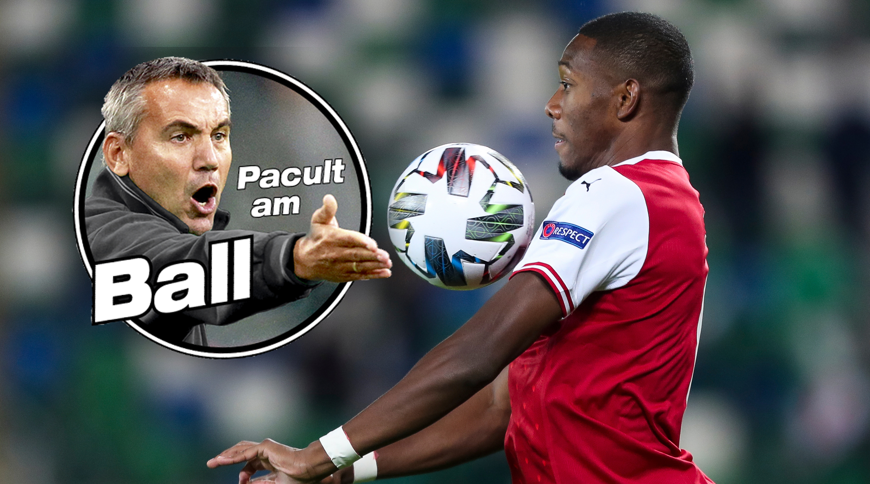 Peter Pacult, David Alaba