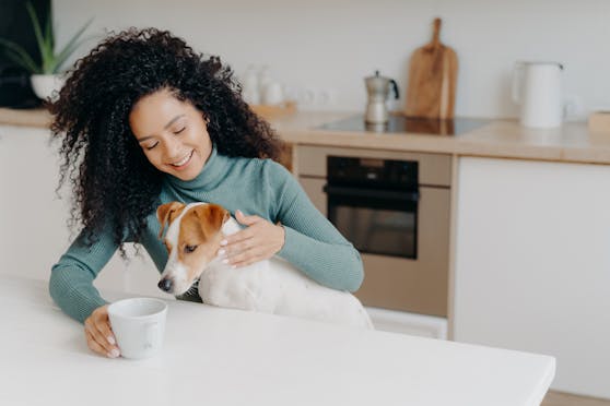Hunde und Katzen schlemmen gerne. Doch ihre Neugier kann gefährlich sein.
