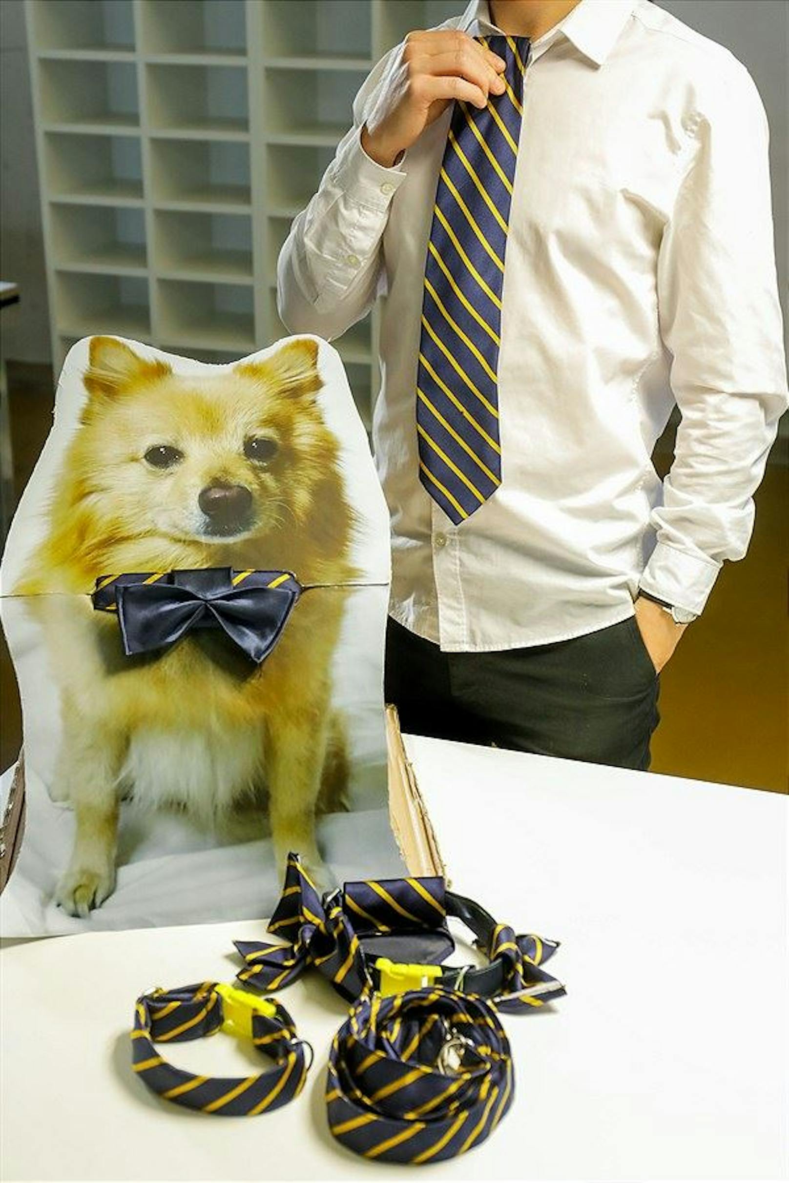 Krawatten werden zu Hunde"halsbändern" 