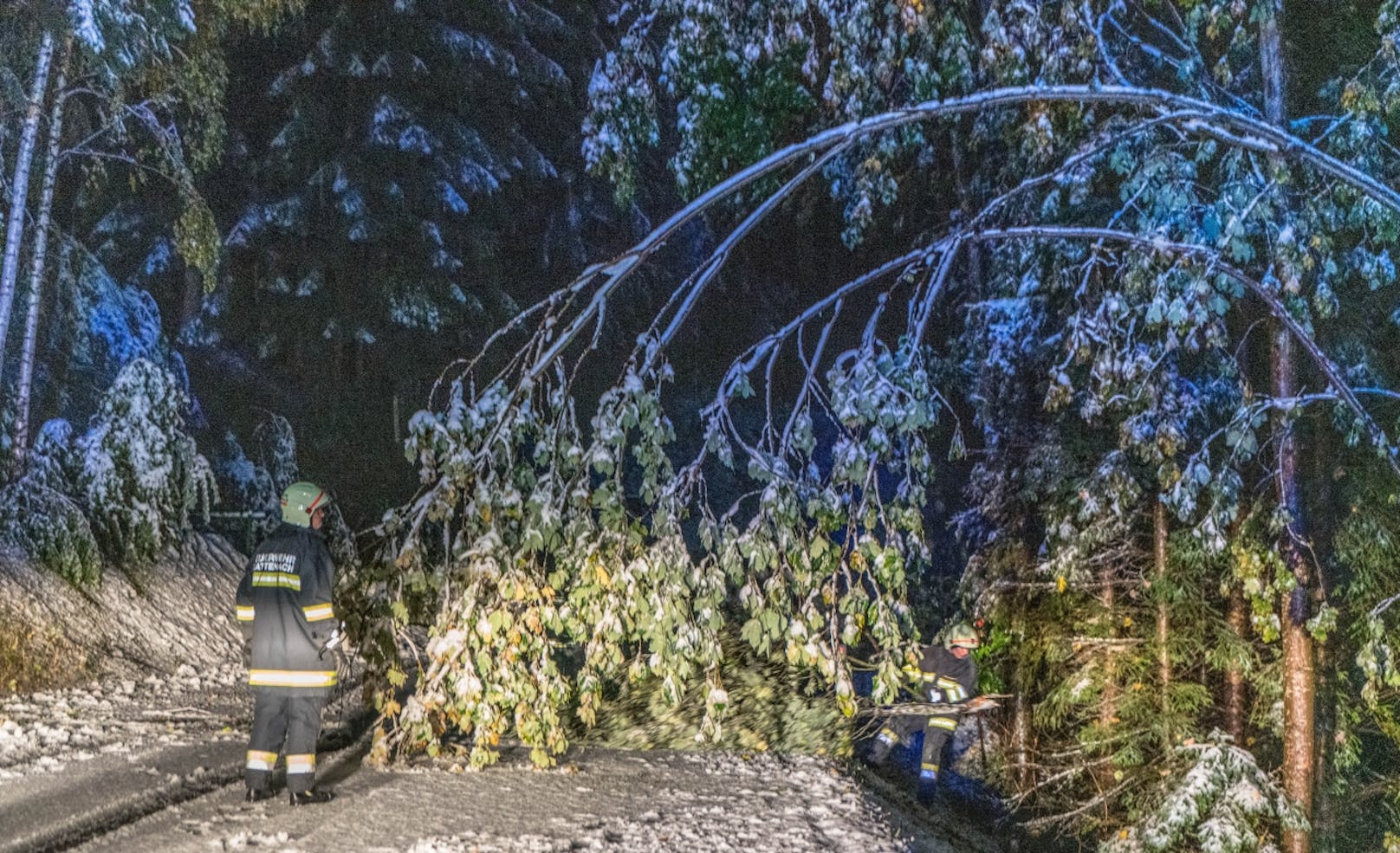 Zahlreiche Bäume knickten aufgrund der Schneelast am Feistritzsattel um und versperrten die Fahrbahn.