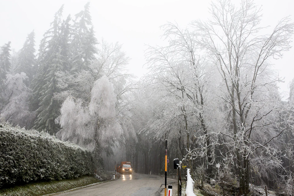 Ein vereister Wald in St. Radegund in der Steiermark