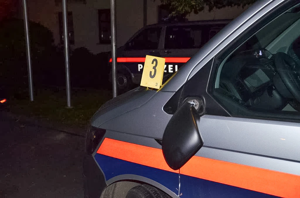 Auch die Außenspiegel soll der Beschuldigte demoliert haben.