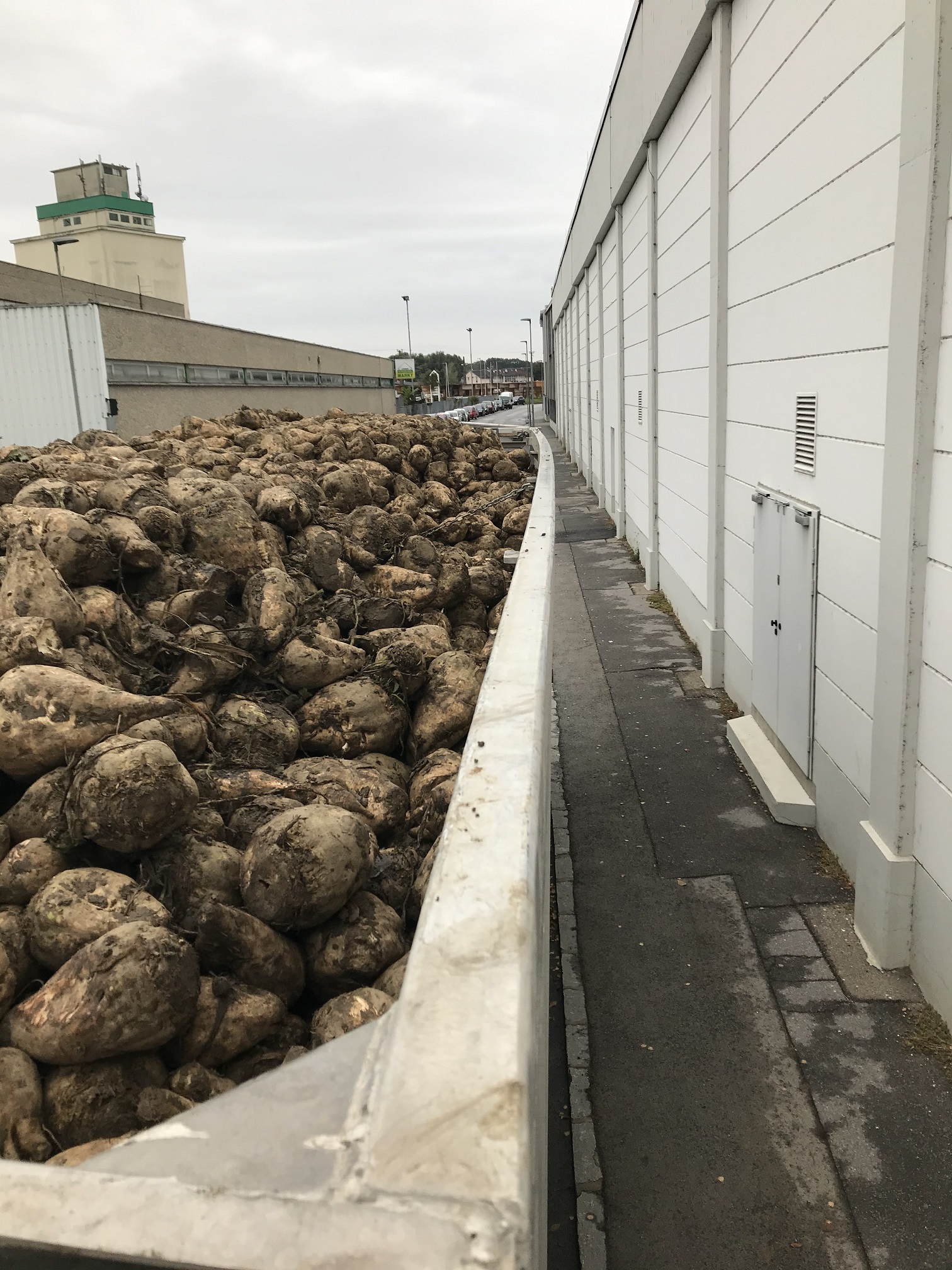 Die Lastwagen waren mit Zuckerrüben beladen.