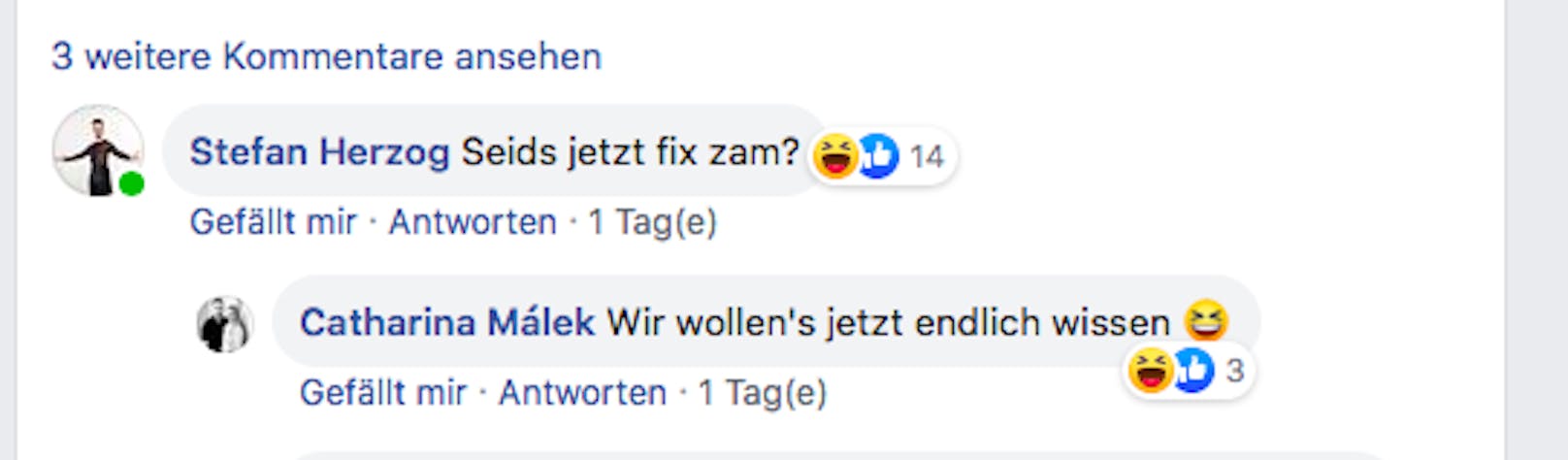 "fix zam?" – Postings von Stefan Herzog und Catharina Málek 
