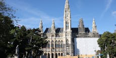 Computer-Panne kostet Stadt Wien 1,1 Millionen Euro