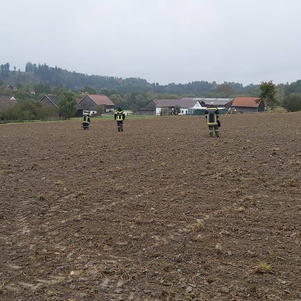 Ein Kälbchen wird in Oberhof/Zwettl noch immer vermisst.