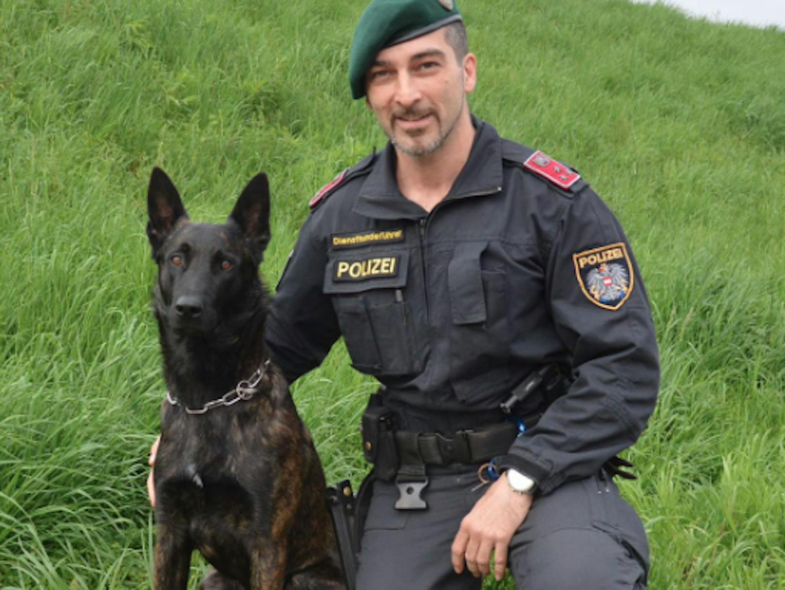 Polizeihund "Bosco" erschnüffelte in einem Kasten in Linz zwei Einbrecher.