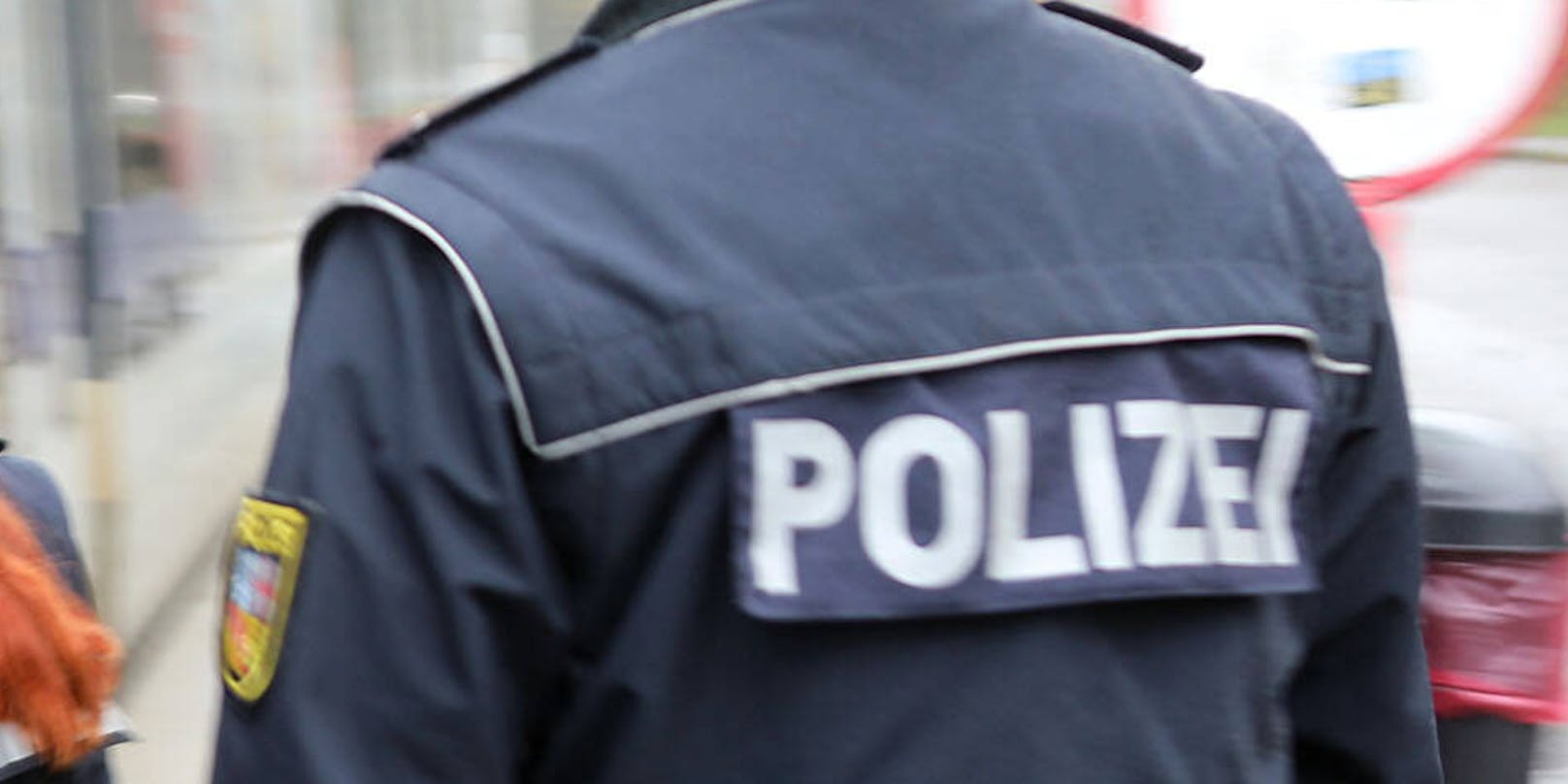 Die Polizei schnappte den in Österreich illegal aufhältigen Beschuldigten.