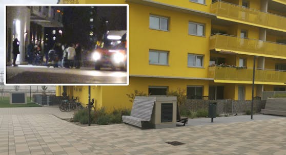 Auf diesem Bankerl in Wien-Liesing schenkte eine 26-Jährige ihrem Baby das Leben.
