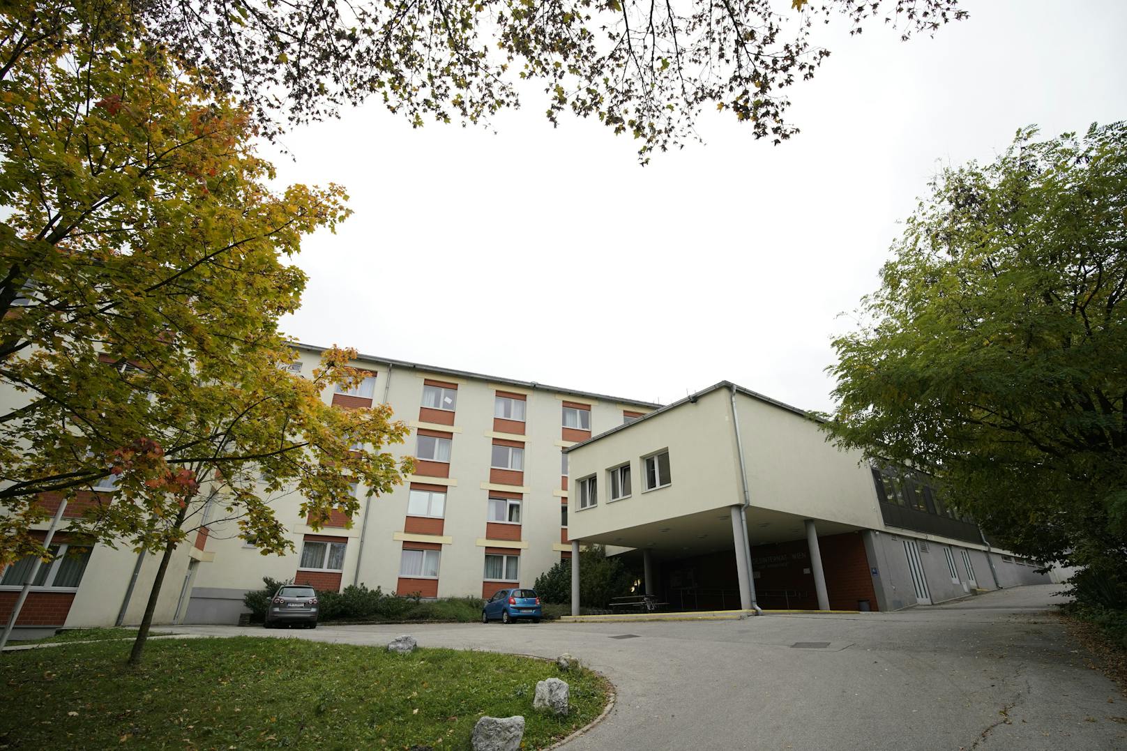 Direktor deckt Rekord-Cluster an Wiener Schule auf