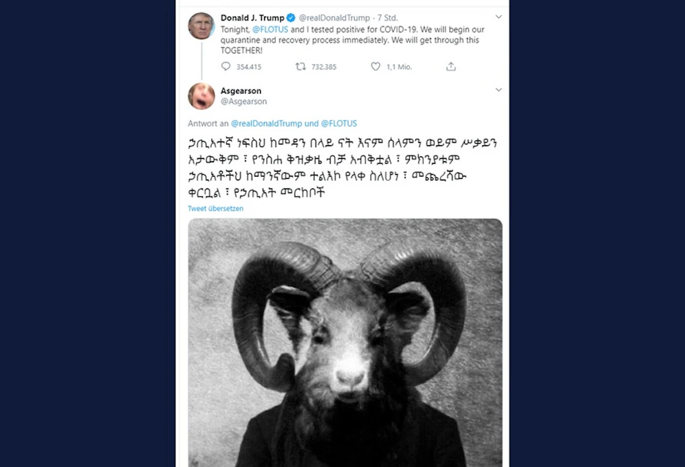 Posts wie diese ließen verschiedene Twitter-Nutzer diesen Freitag rätseln. 