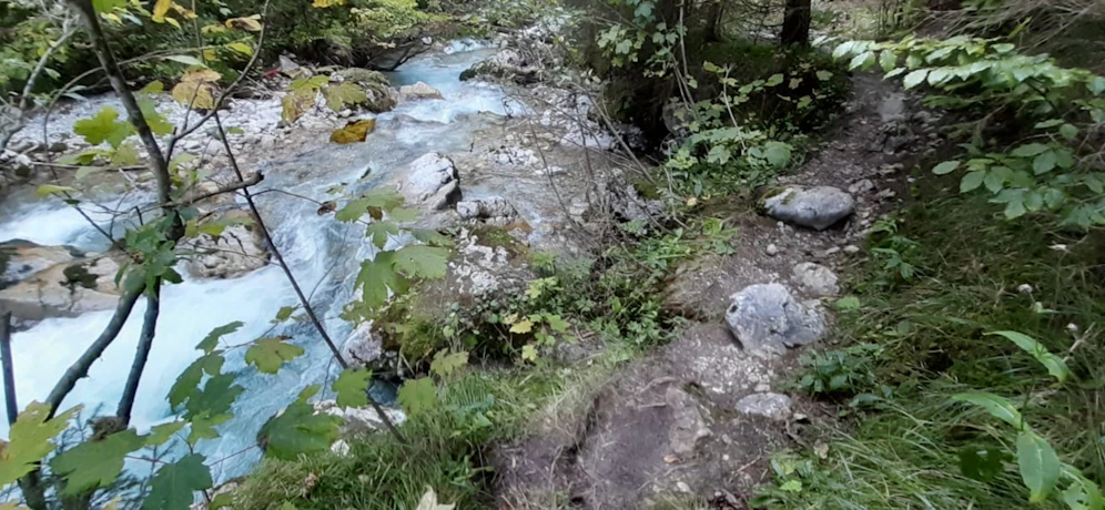 Die Frau wurde tot im Gaisbach entdeckt.