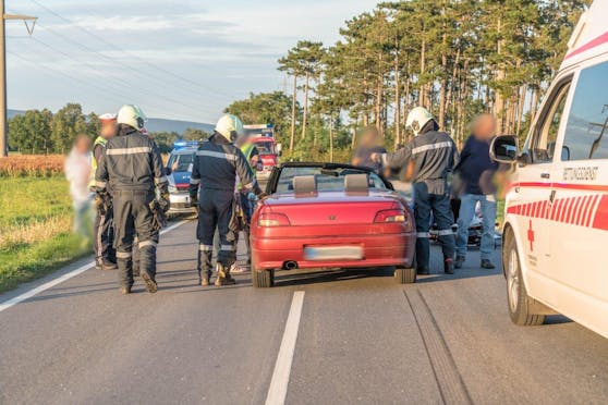 Crash in NÖ! Pferd läuft frontal in zwei Autos – tot - Niederösterreich