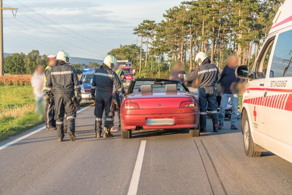 Bei dem Unfall starb ein Pferd.
