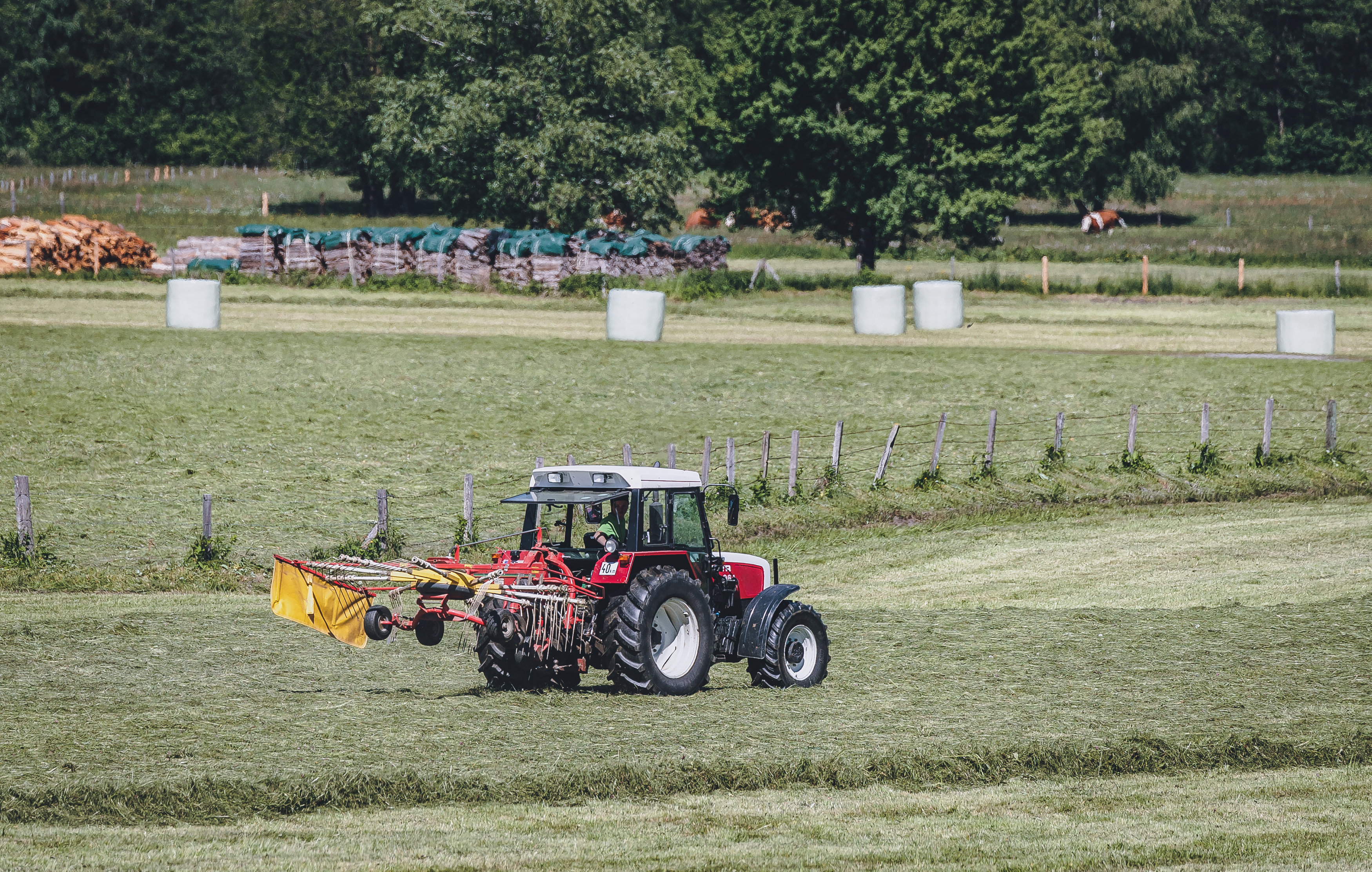 Für den Landwirt kam jede Hilfe zu spät (Symbolbild).