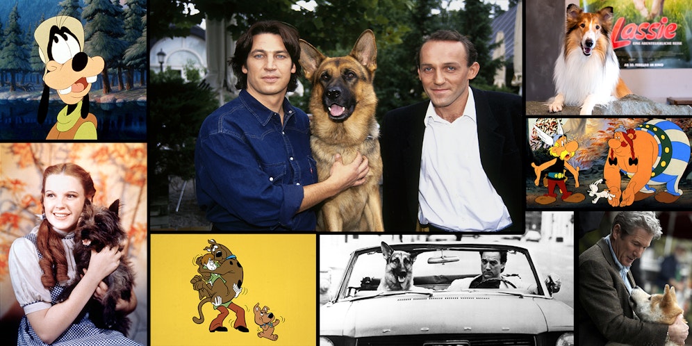 Ob animiert oder zum Anfassen. Wir lieben alle unsere Hundestars! 