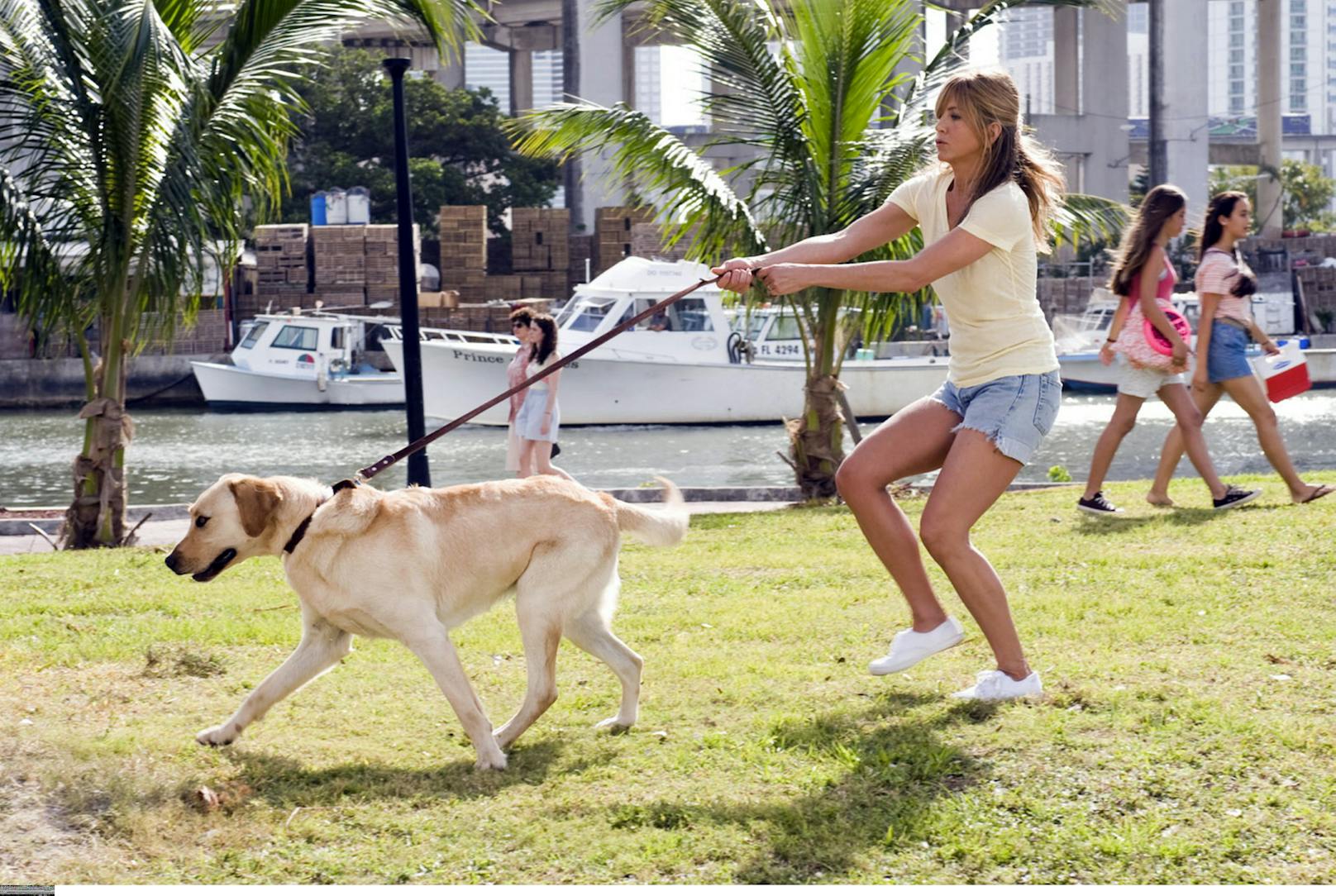 <strong>"MARLEY"</strong> ist der frechste Hund der Welt und brachte uns alle am Ende zum Schluchzen! "Marley und ich" ist nicht nur die Verfilmung einer wahren Geschichte, sondern rückt das Bild, der normalerweise sehr devoten Rasse "Labrador" in ein anderes Licht. Stur, ungestüm aber immer lustig und liebenswert fegt Marley wie ein Wirbelsturm durch den Film und bringt die Hauptdarsteller: Jennifer Aniston &amp; Owen Wilson zum Schwitzen. Nah am Wasser gebaut darf man dennoch nicht sein, wenn man den Film bis zum Abspann sehen möchte... <br>