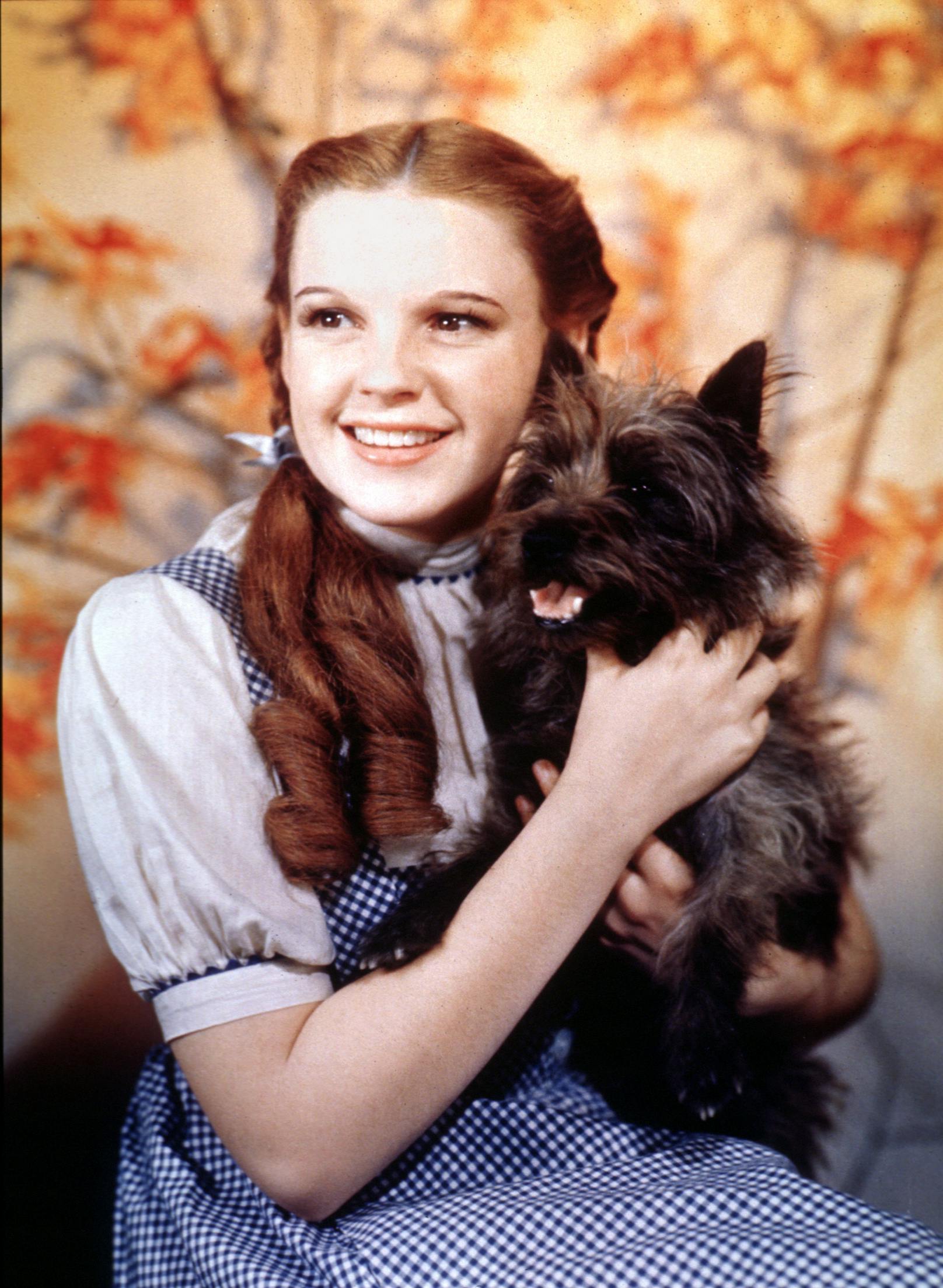Der süße <strong>"TOTO"</strong>, bekannt aus dem Filmklassiker "Der Zauberer von Oz" begleitet sein Frauchen Dorothy durch das zauberhafte Land und meistert mit ihr alle Gefahren. Gewusst? Toto war im echten Leben eine Hündin! <br>
