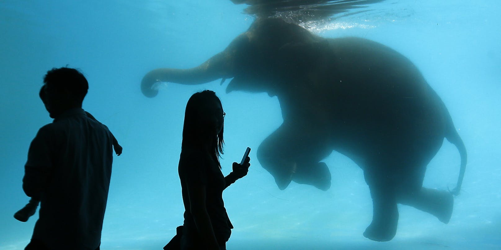 Eine junge Elefantenkuh genießt ein Bad in einem thailändischen Zoo