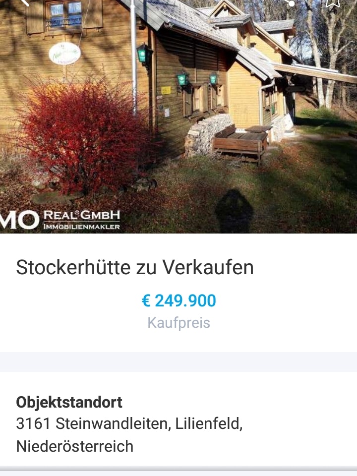 Das Inserat auf willhaben.at