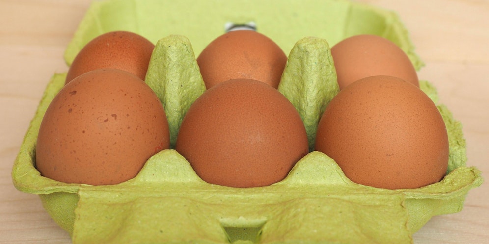 Generell ist es tatsächlich möglich, Eier einzufrieren.
