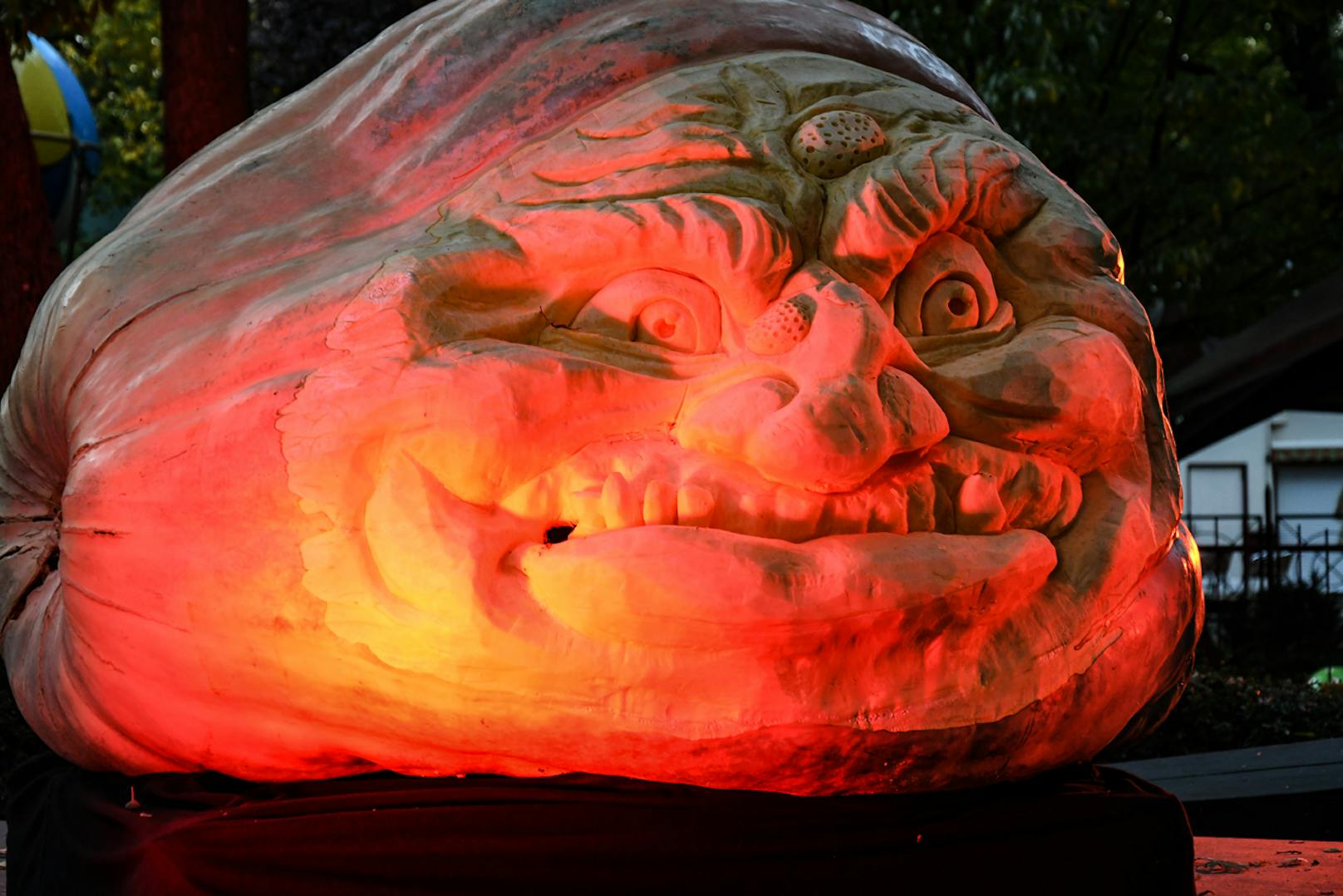 Der Riesenkürbis sorgt nun mit Halloween-Fratze im Familypark St. Margarethen für eine gruselige Atmosphäre. 
