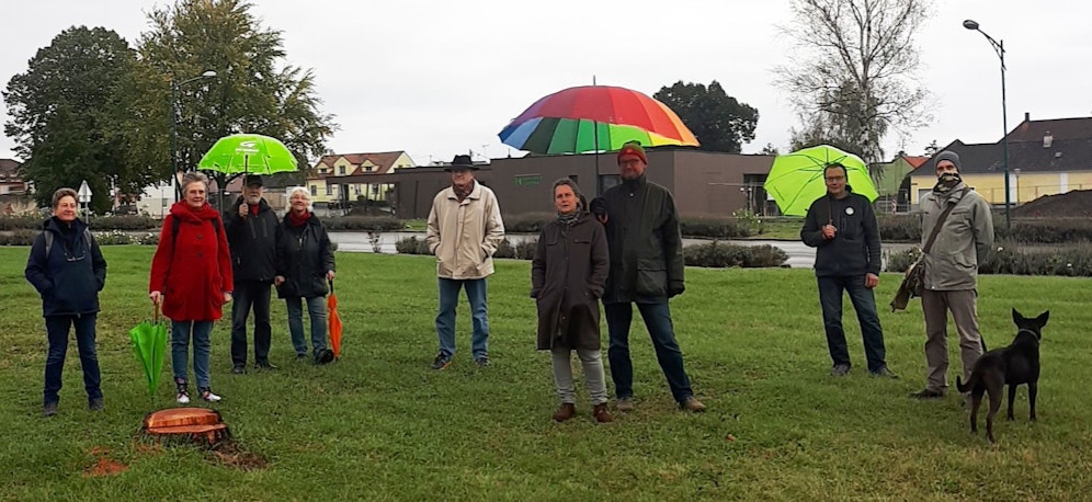 Grüne protestierten gegen 