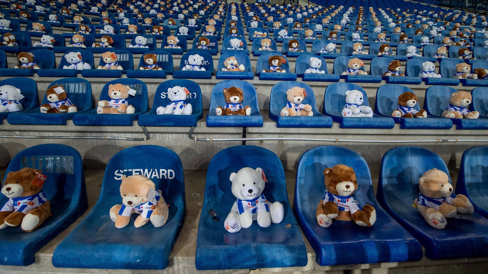 Teddybären dürfen trotz Coronavirus-Pandemie ins Stadion.
