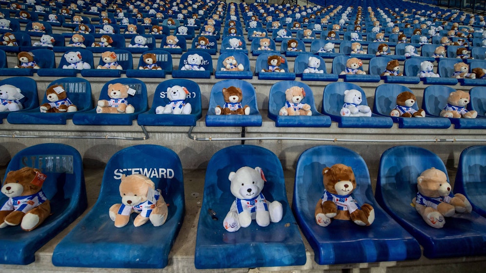 Teddybären dürfen trotz Coronavirus-Pandemie ins Stadion.