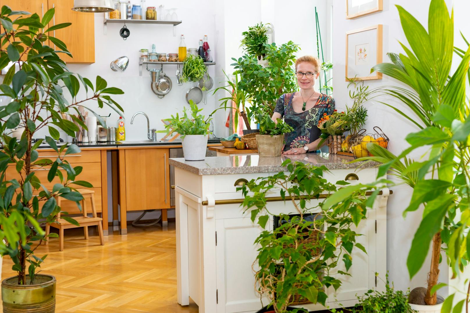 Beim Fotowettbewerb "Blühendes Zuhause" der Stadt Wien bekam&nbsp;Katy Schmidt die blumige Auszeichnung in der neuen Kategorie "Indoor-Garten" für ihren Indoor-Dschungel in ihrer Wohnung in der Leopoldstadt.