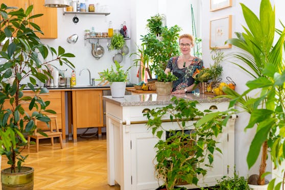 Beim Fotowettbewerb "Blühendes Zuhause" der Stadt Wien bekam Katy Schmidt die blumige Auszeichnung in der neuen Kategorie "Indoor-Garten" für ihren Indoor-Dschungel in ihrer Wohnung in der Leopoldstadt.