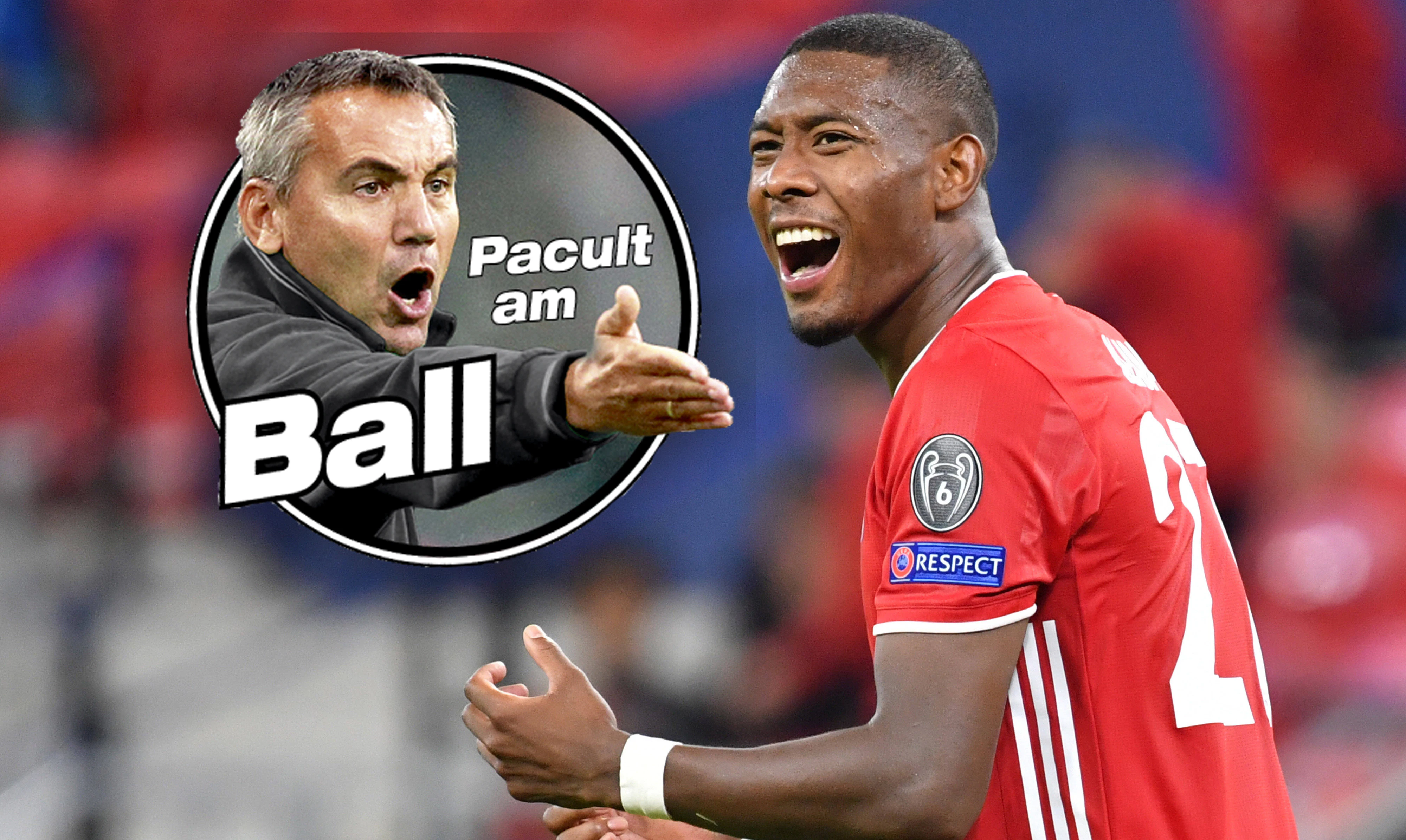 Peter Pacult, David Alaba