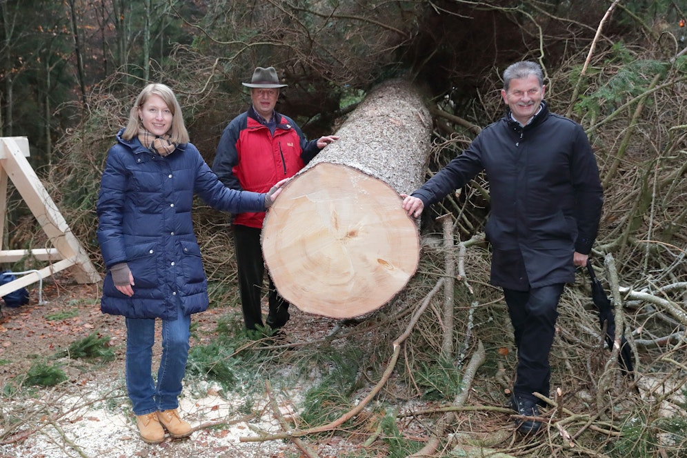 OÖ-Landeshauptmann-Stellvertreterin Christine Haberlander, Forstmeister Johannes Wohlmacher vom Stift Schlägl und Franz Wagner, der Bürgermeister von Klaffer am Hochficht mit dem Wiener Weihnachtsbaum.