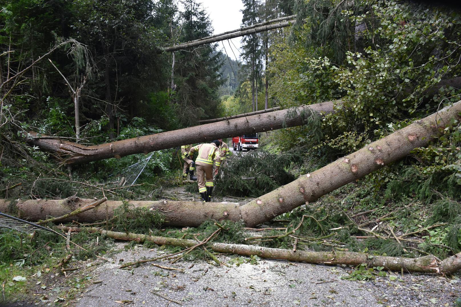 Ein kräftiger Sturm fegt derzeit über Österreich und verursacht schwere Schäden.