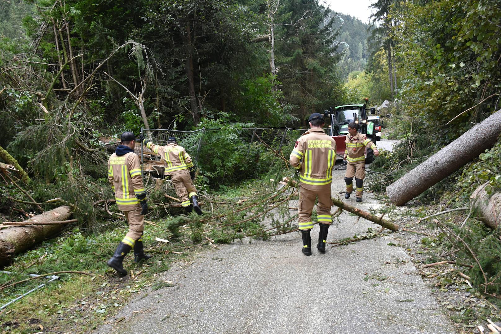 Ein abgestellter Tieflader sowie ein Zaun einer privaten Firma wurden durch die Bäume beschädigt. Mit Hilfe vom Gemeindetraktor konnte die Straße nach einer Stunde geräumt werden.