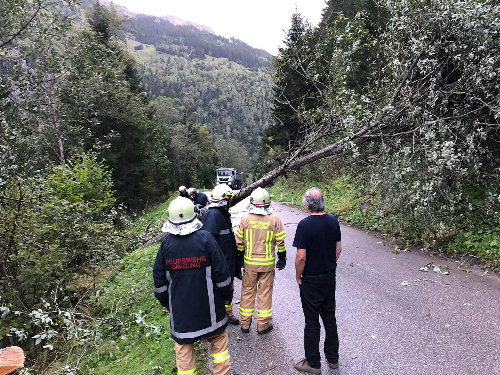 Ein kräftiger Sturm mit über 200 km/h richtet schwere Schäden an. In Ginzling stürzte etwa ein Baumn auf die Straße und versperrte den Weg.