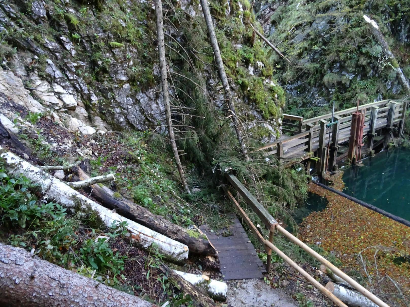 Mendlingtal: Baum stürzte auf Vierjährige