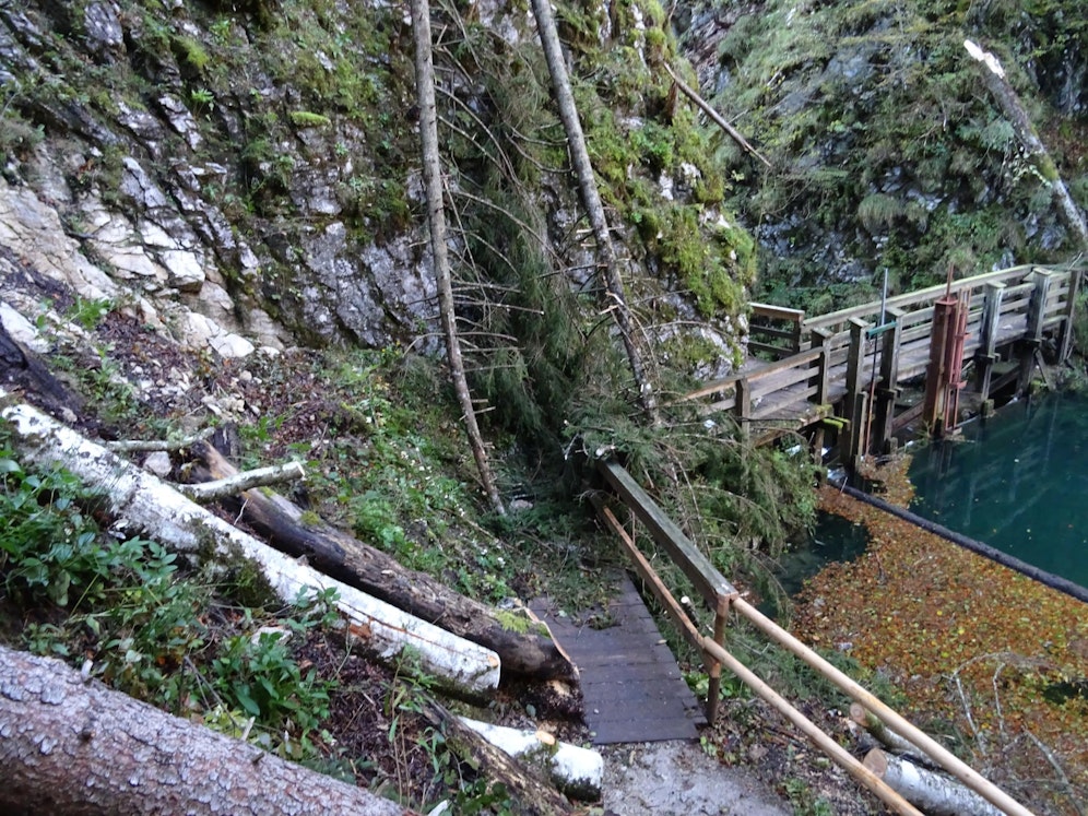 Mendlingtal: Baum stürzte auf Vierjährige