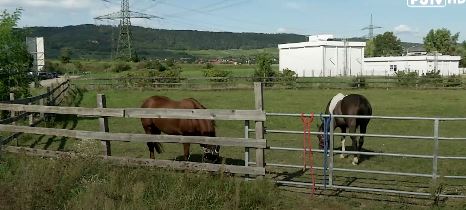 Von hier aus würde man auf den Schlachthof blicken.