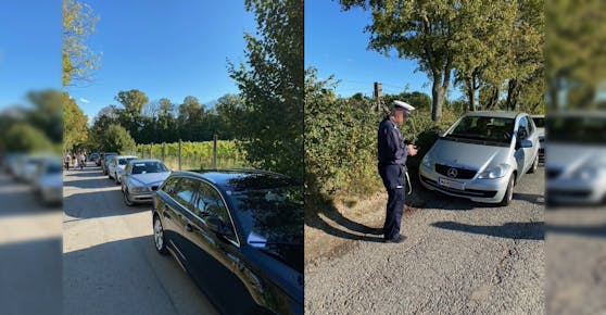 Der Einsatz eines Parksheriffs am Sonntag in Döbling dürfte sich offenbar gelohnt haben.