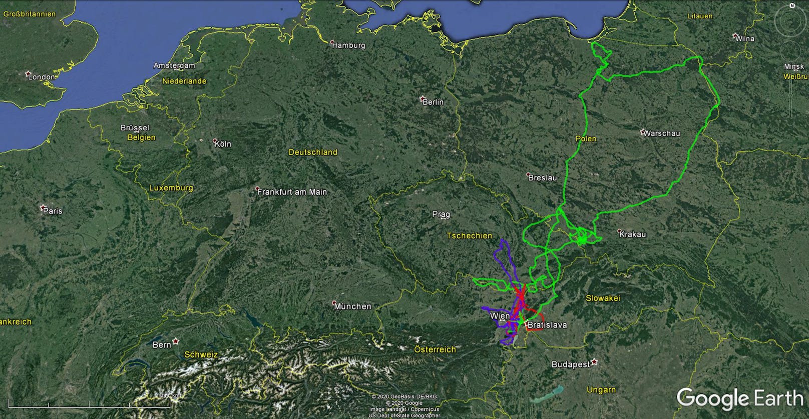 Die Flugrouten der Nationalpark-Seeadler Dante (Rot), Darius (Blau) und Davina (Grün).