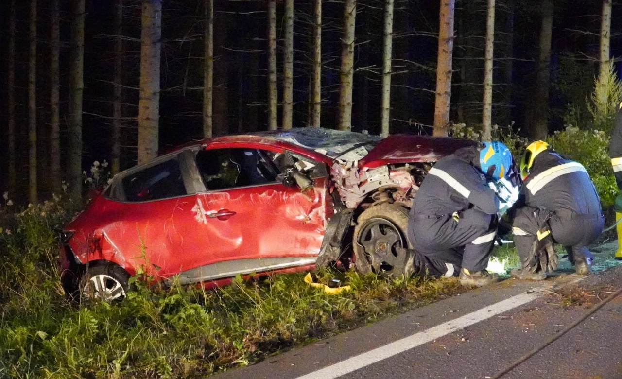 Ein Lenker kam von der Fahrbahn ab und krachte gegen einen Baum.