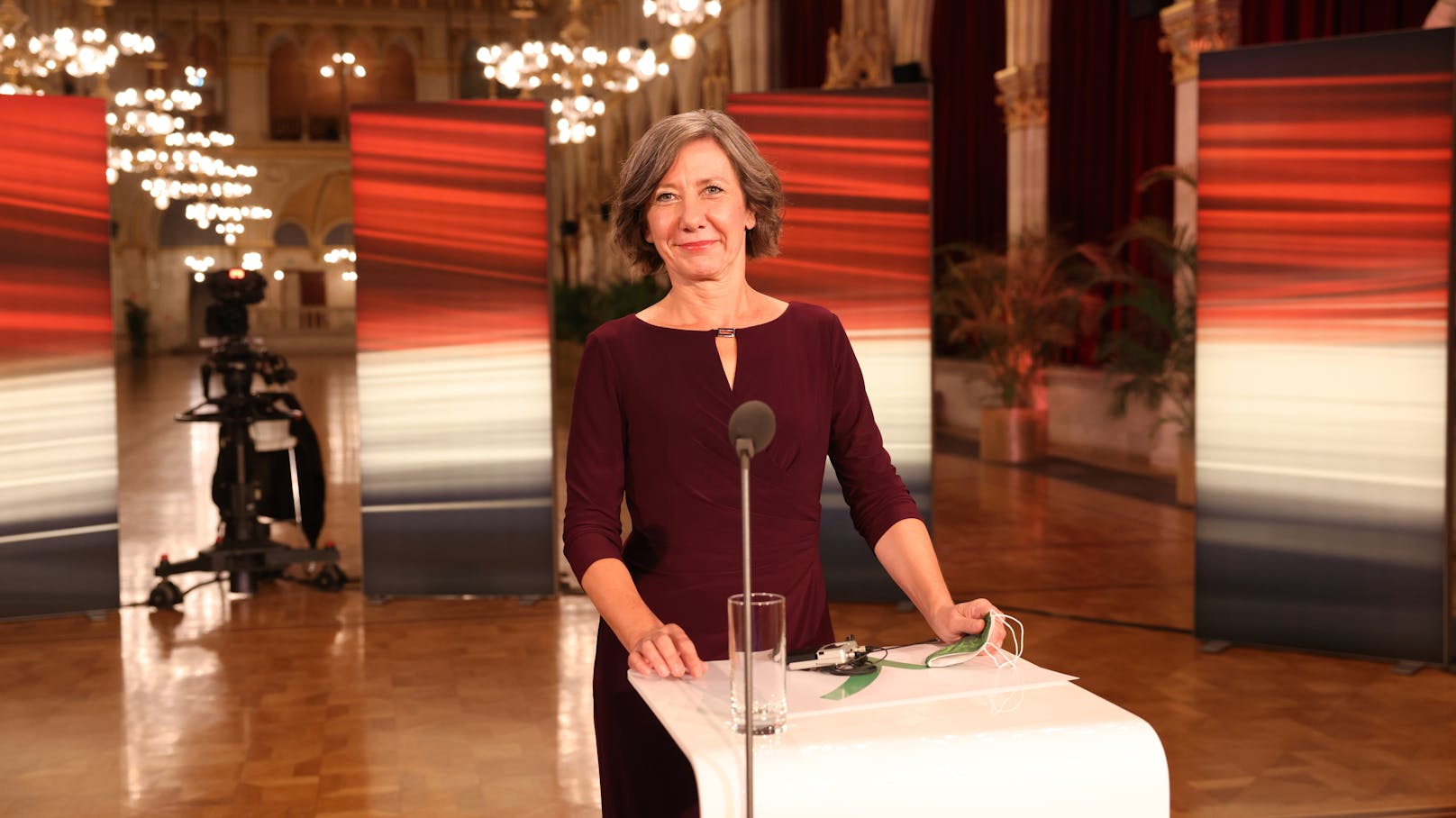 Birgit Hebein, Spitzenkandidatin der Grünen