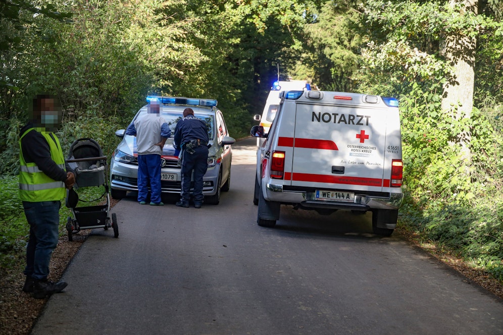 Oma und Enkerl waren in einem Waldstück in Thalheim bei Wels unterwegs. 