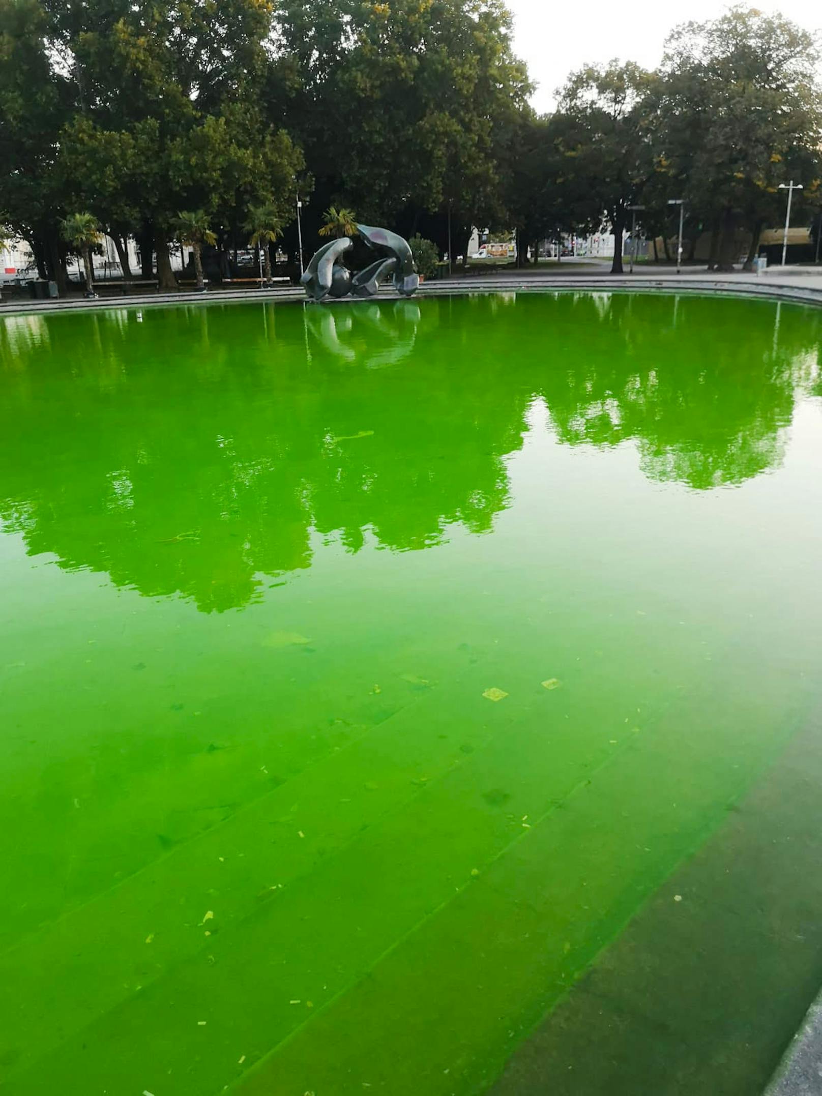 Passanten fanden den Teich vor der Karlskirche am Donnerstag giftgrün gefärbt vor.